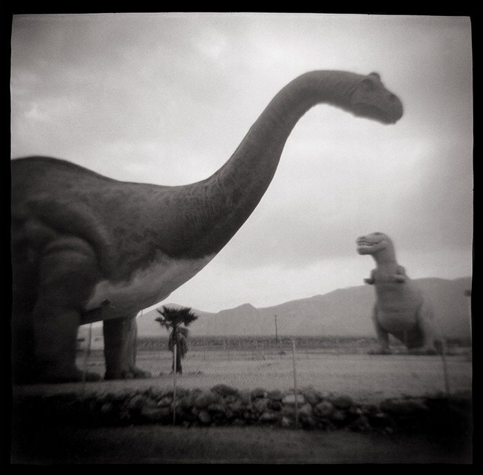 Fine Art Photographs made with a plastic toy Diana Camera.