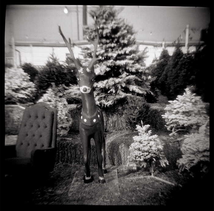 Fine Art Photographs made with a plastic toy Diana Camera.