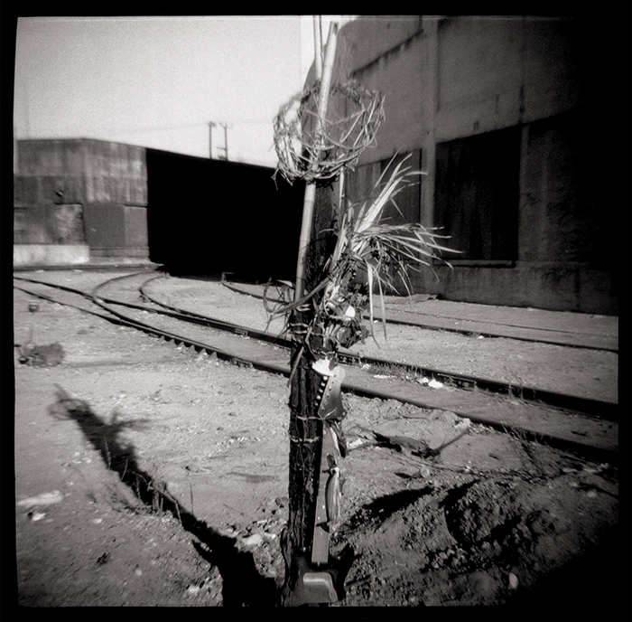 Fine Art Photographs made with a plastic toy Diana Camera.